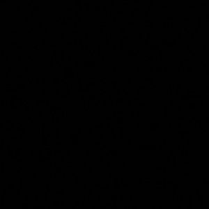 Meet your Posher, Regina